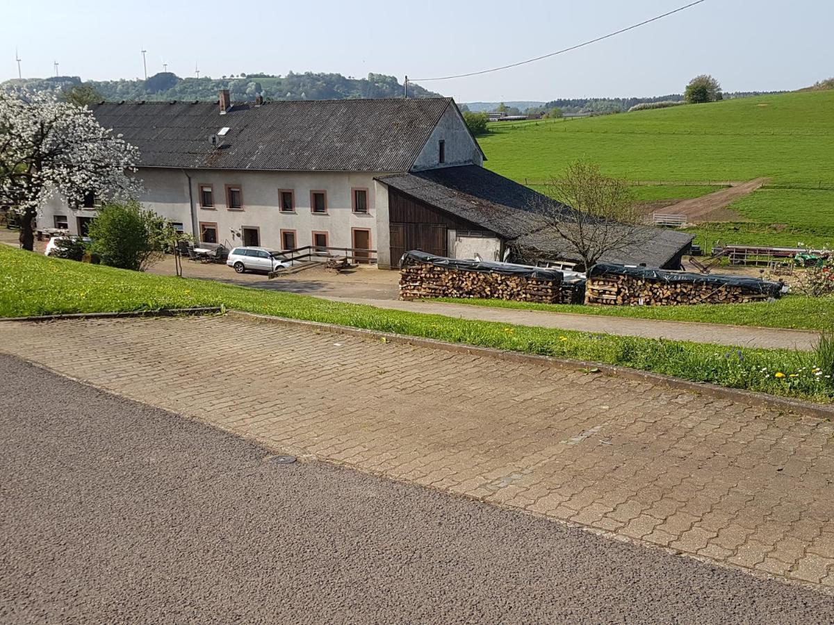 Ferienwohnung Familie Weber لوسهايم المظهر الخارجي الصورة